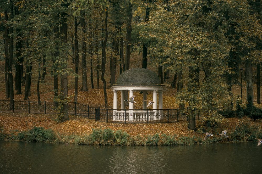 Photograph by Боков Павел