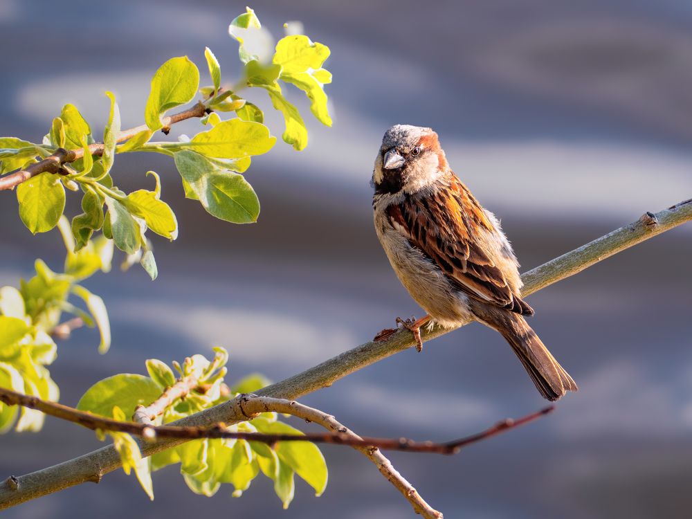 Photograph by Шейко Анна
