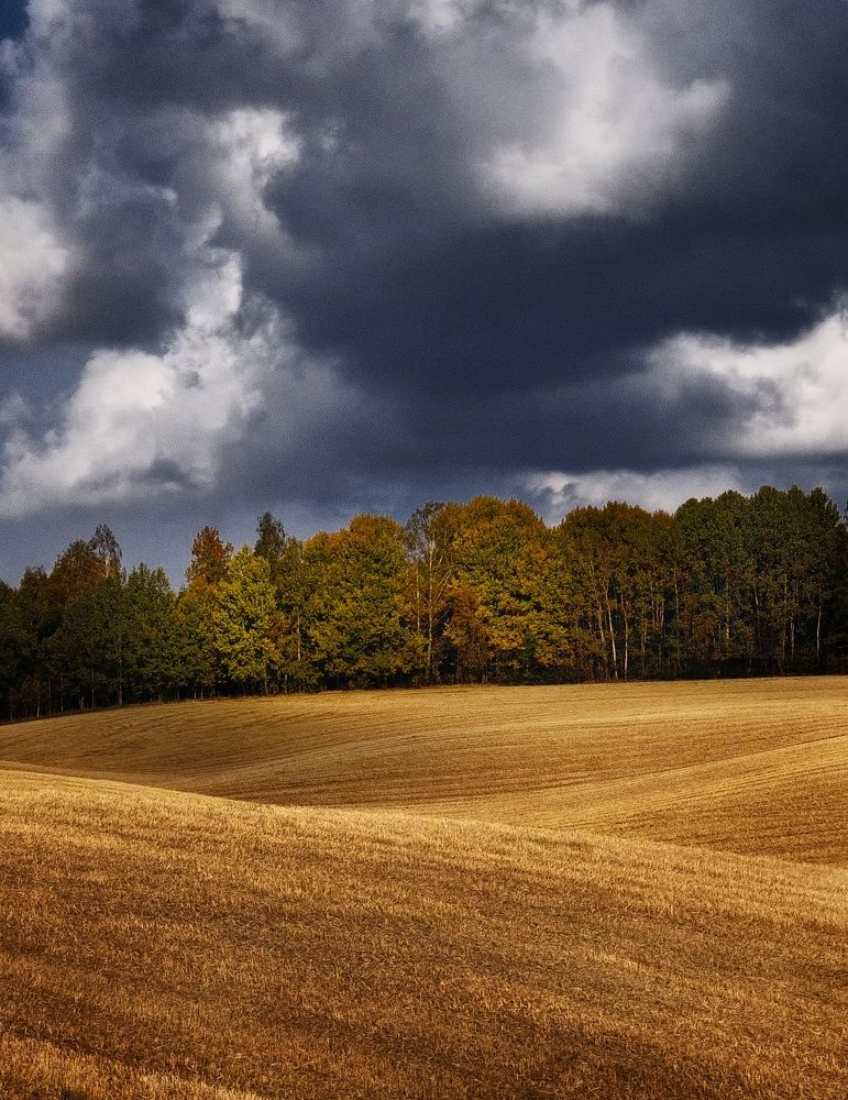 Фотография автора Alina Filimonova