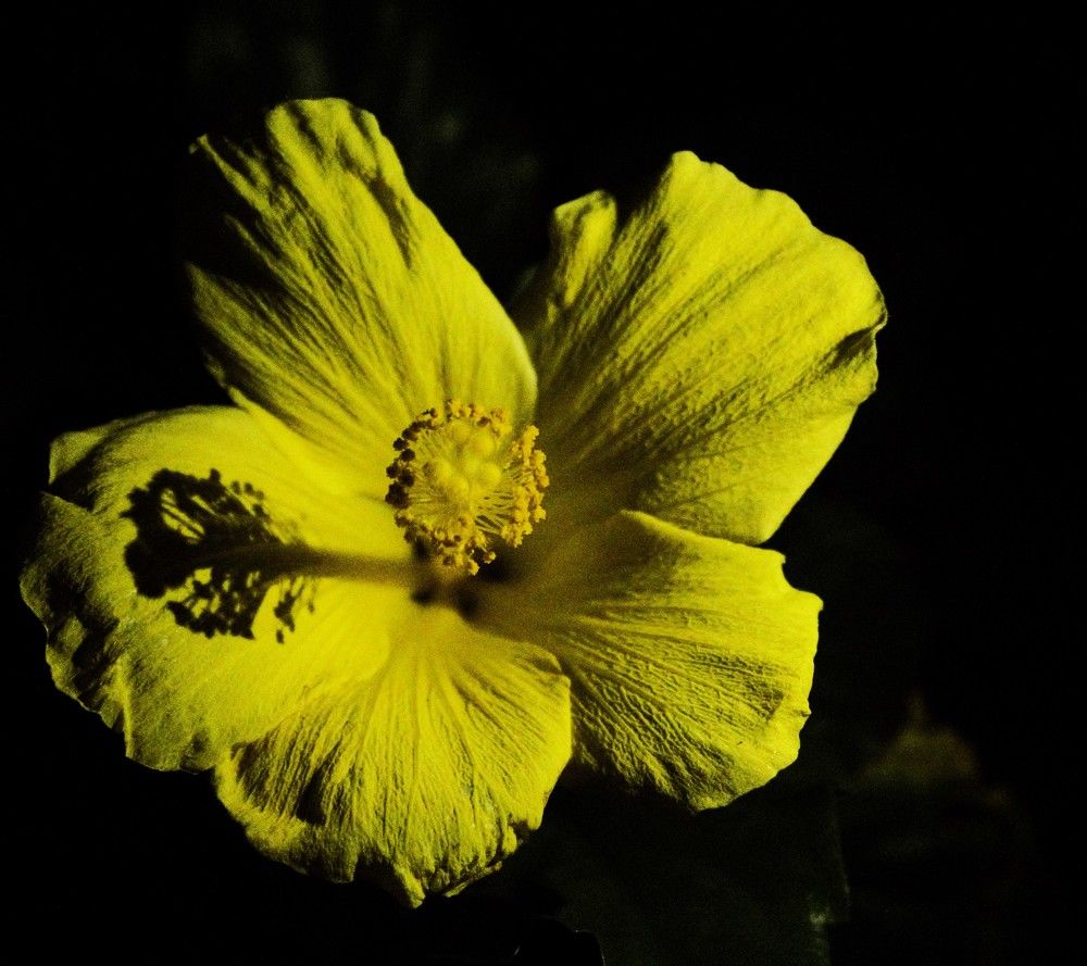 Photograph by Régis Santos