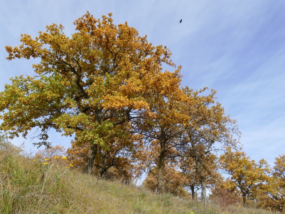 Photograph by Александр Кизим