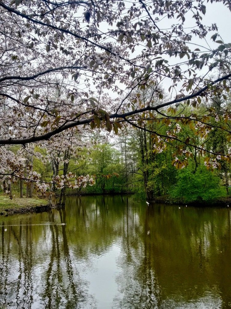 Photograph by Ирина