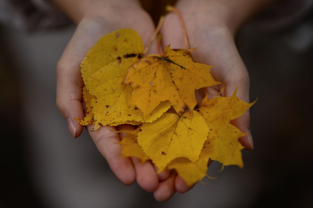 Photograph by Natalie K.