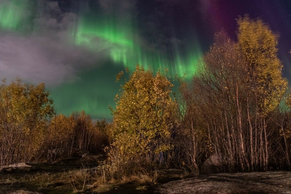 Сияние осени