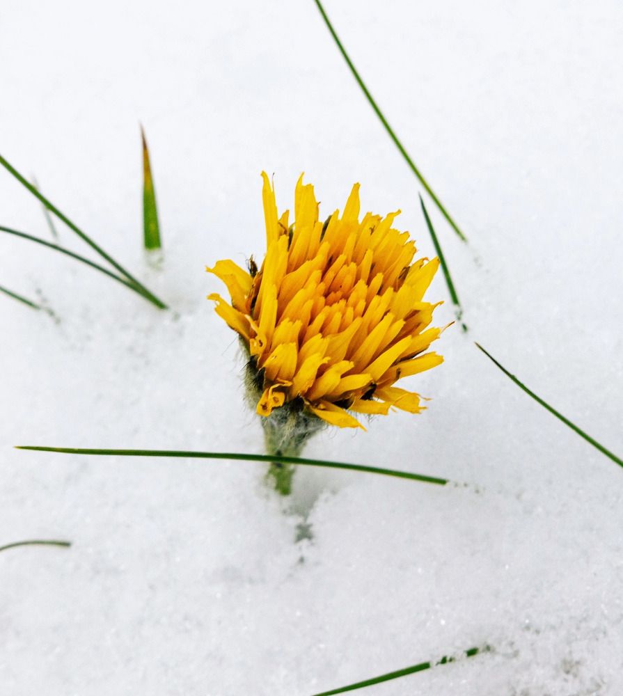 Photograph by Ольга Чибисова