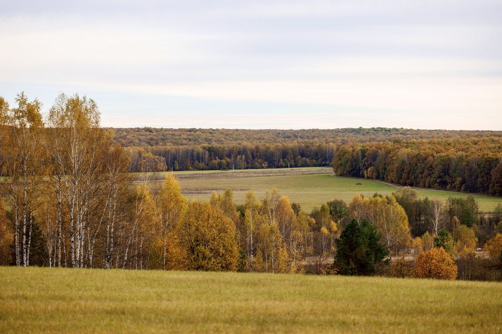 Photograph by Ольга Чибисова