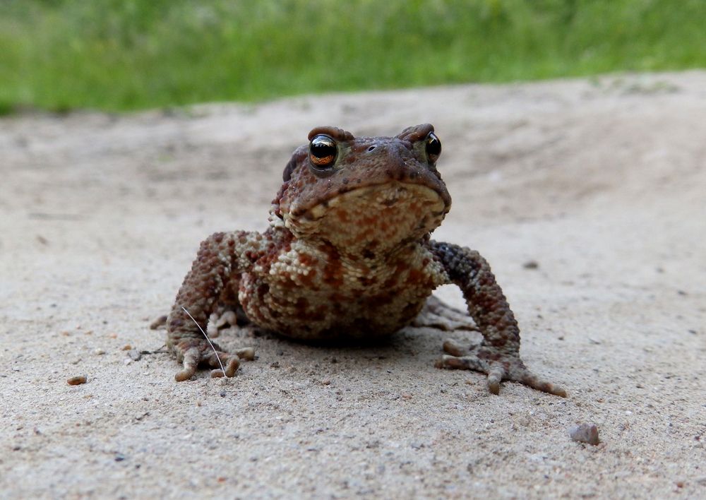 Photograph by Ирина Арканова