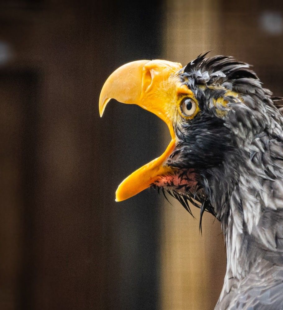 Photograph by Анна Стрелковская