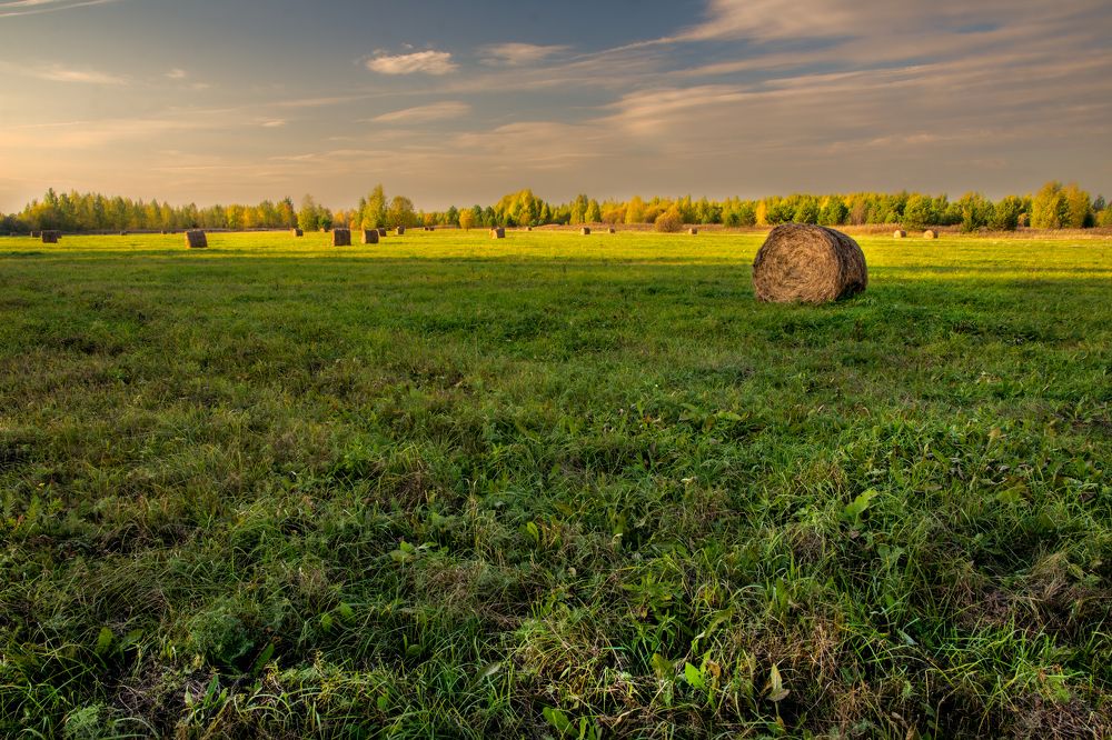 Photograph by  Максим