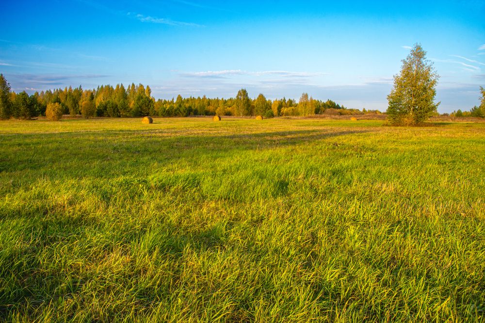 Photograph by  Максим