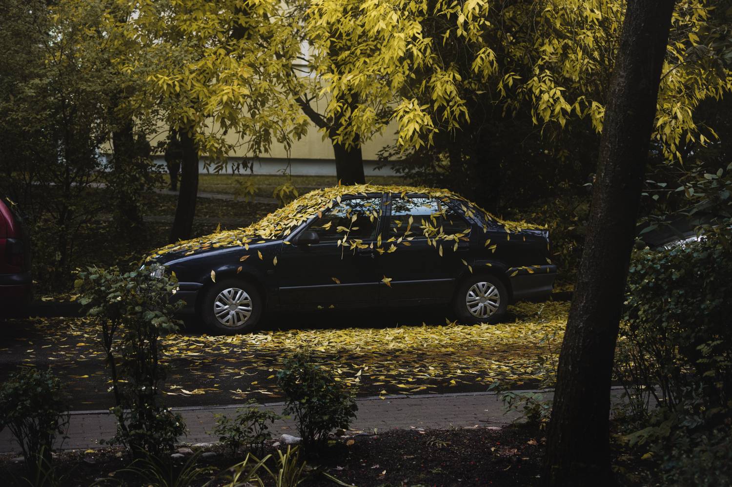 Photo #11138395