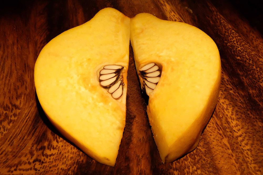 Photograph by Наталия Шинкевич