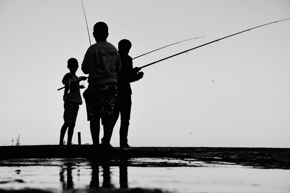 Photograph by Гребенников Владимир