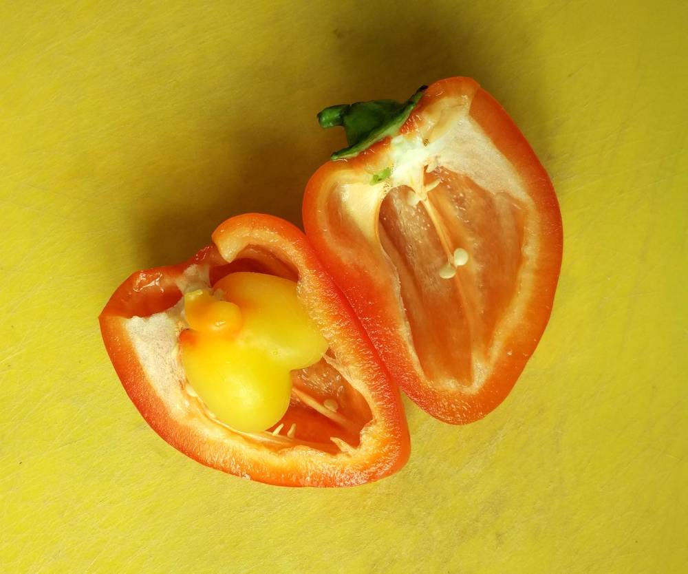 Photograph by Ирина Арканова