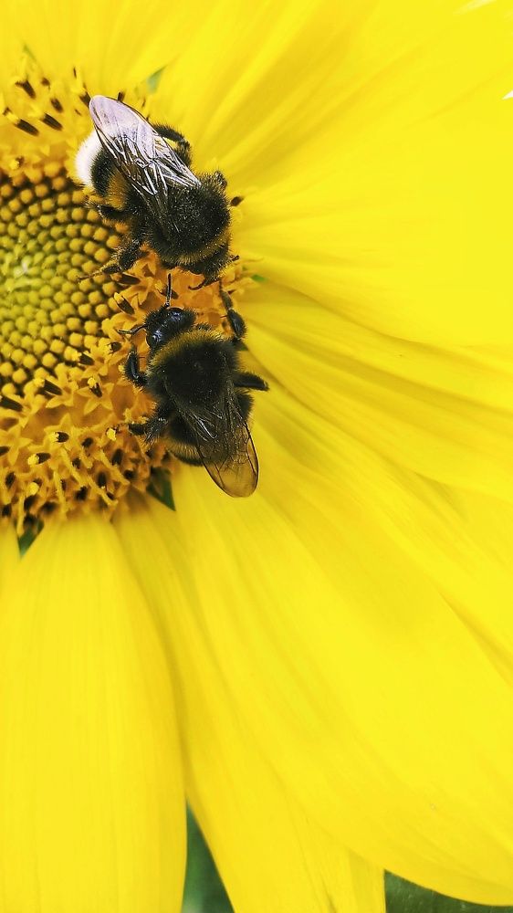 Photograph by Неро Миллена