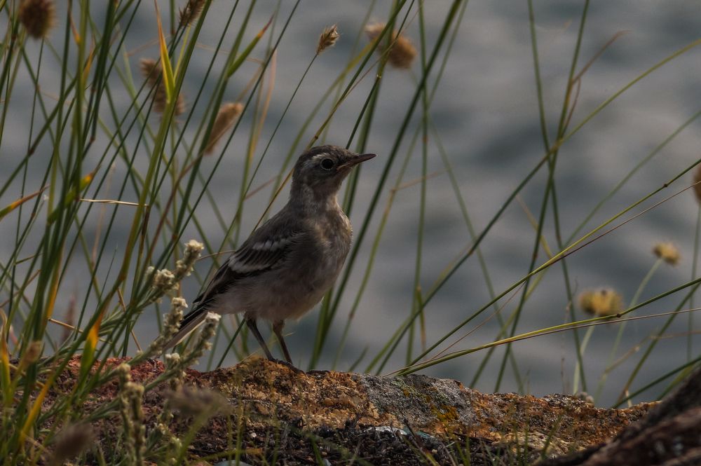 Photograph by Виктор Сёмушкин