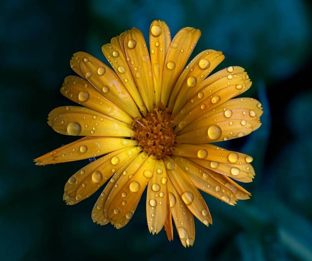 Photograph by Valdir Hobus