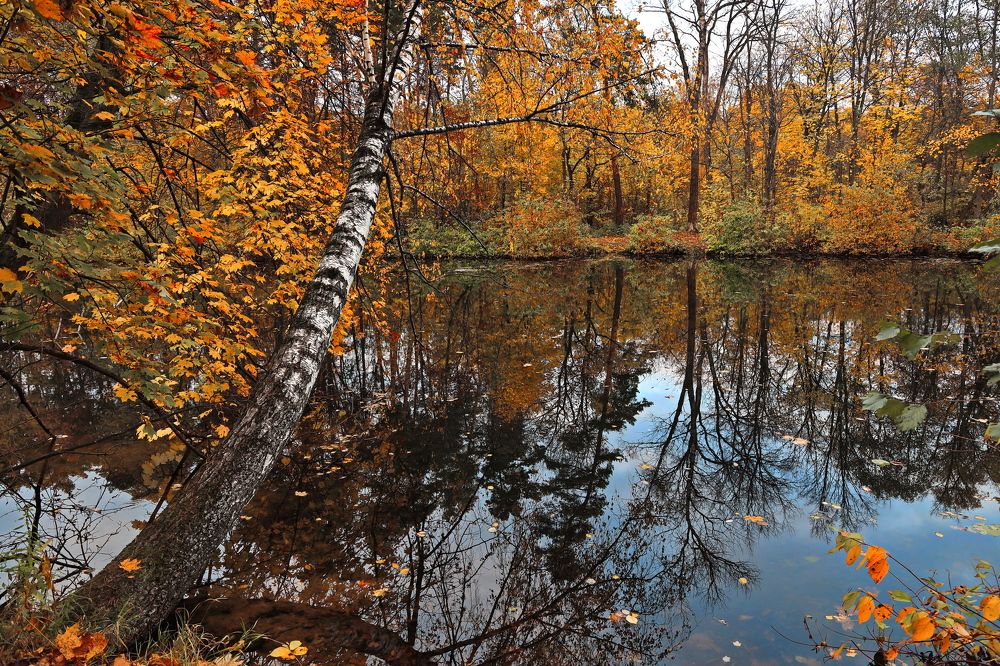 Москва, в парке Серебряный Бор.