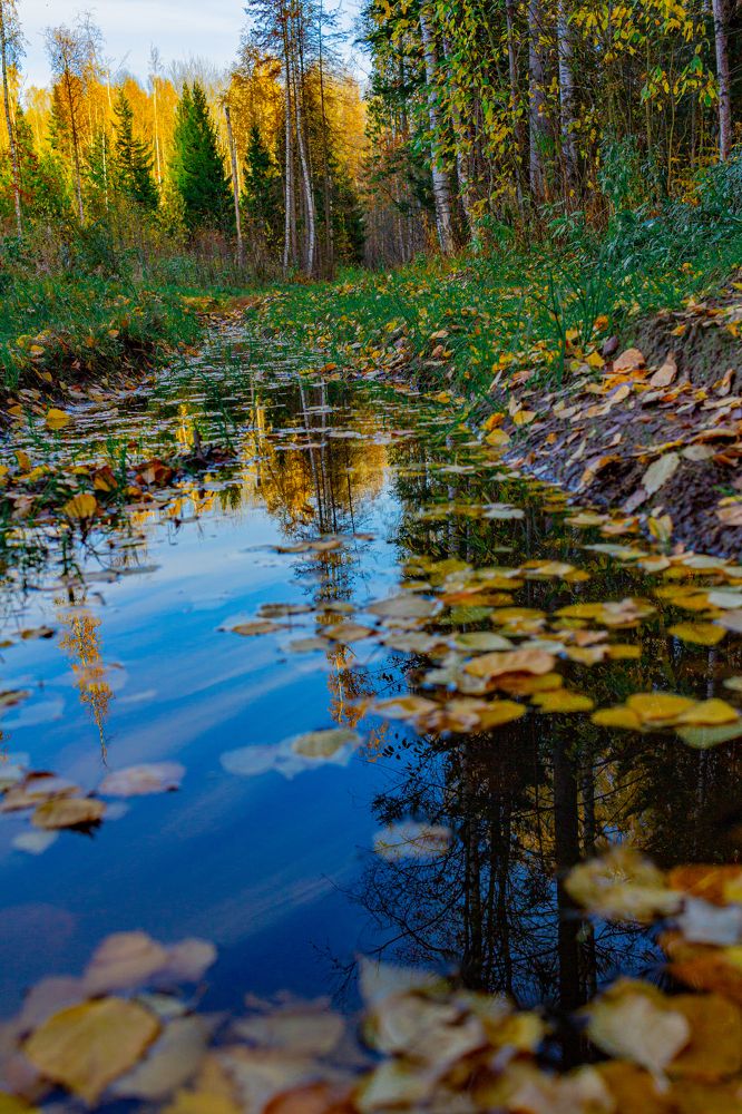 Photograph by Кокорин Алексей