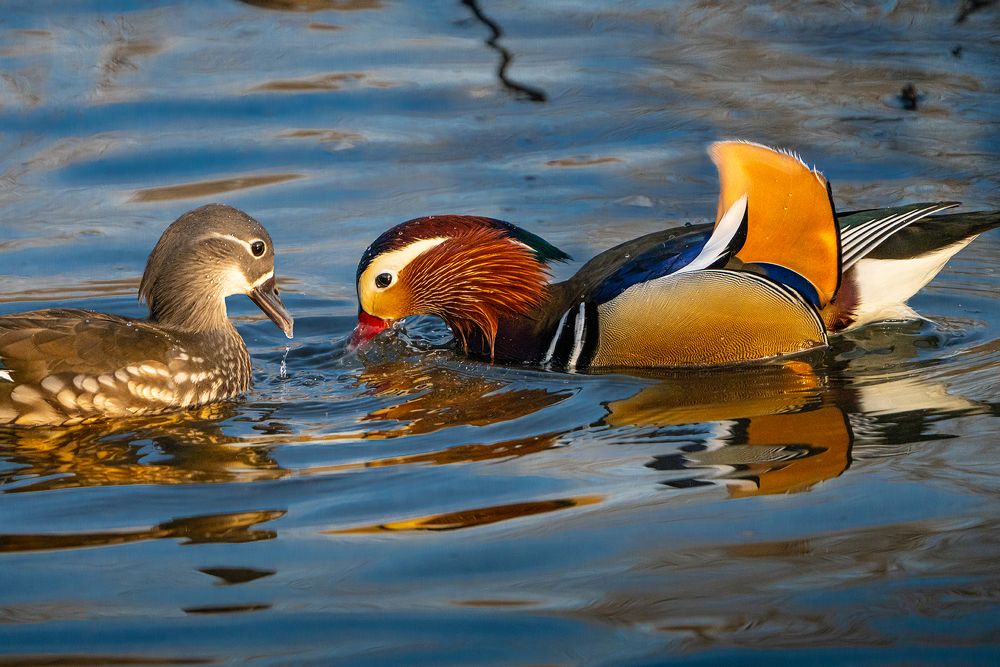 Photograph by Ольга Мусиенко