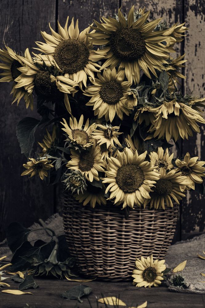 Photograph by Bogdan Tarasov