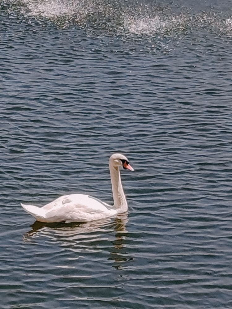 Фотография автора Любовь