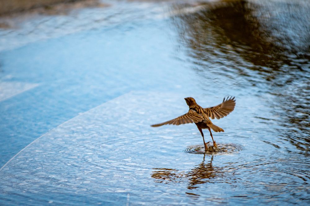 Photograph by Focus Estudio Fotográfico