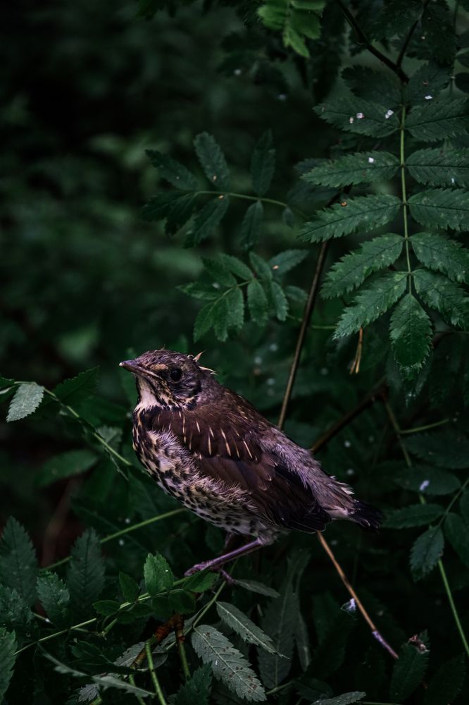 Photograph by Анна Зенкина