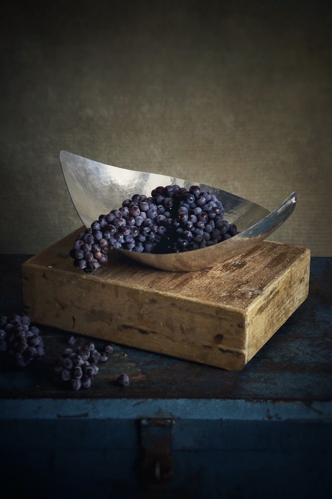 Photograph by Hamide Jafari