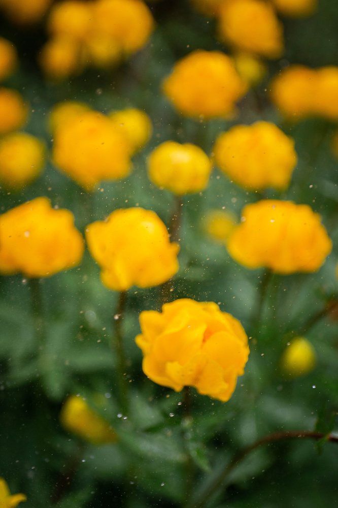 Photograph by Мария Серова