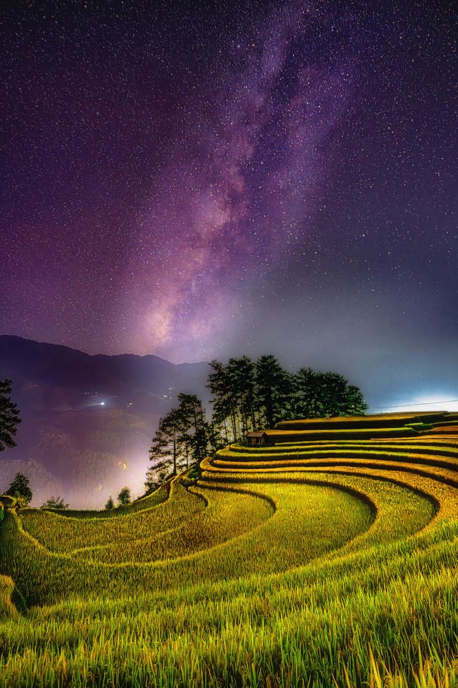 Photograph by Tran Phuong