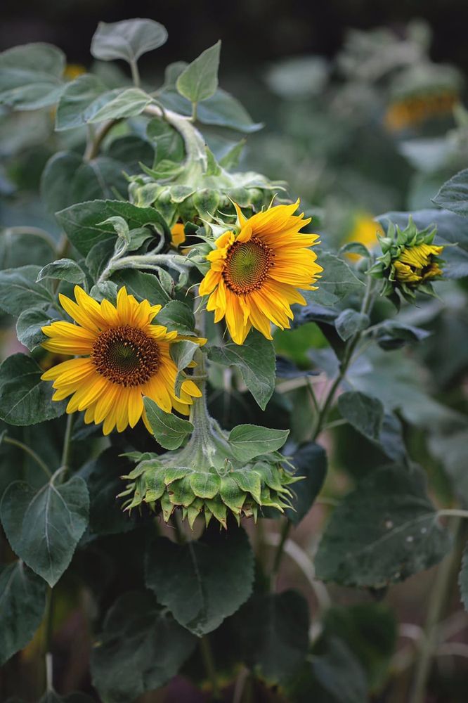 Photograph by Мария Серова