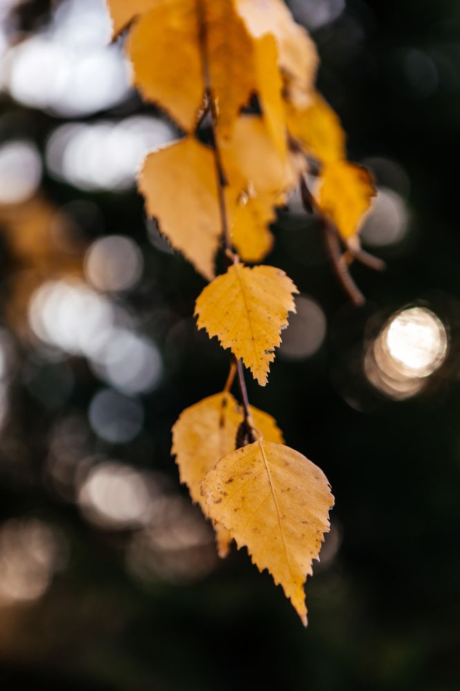 Photograph by Корчагина Оксана