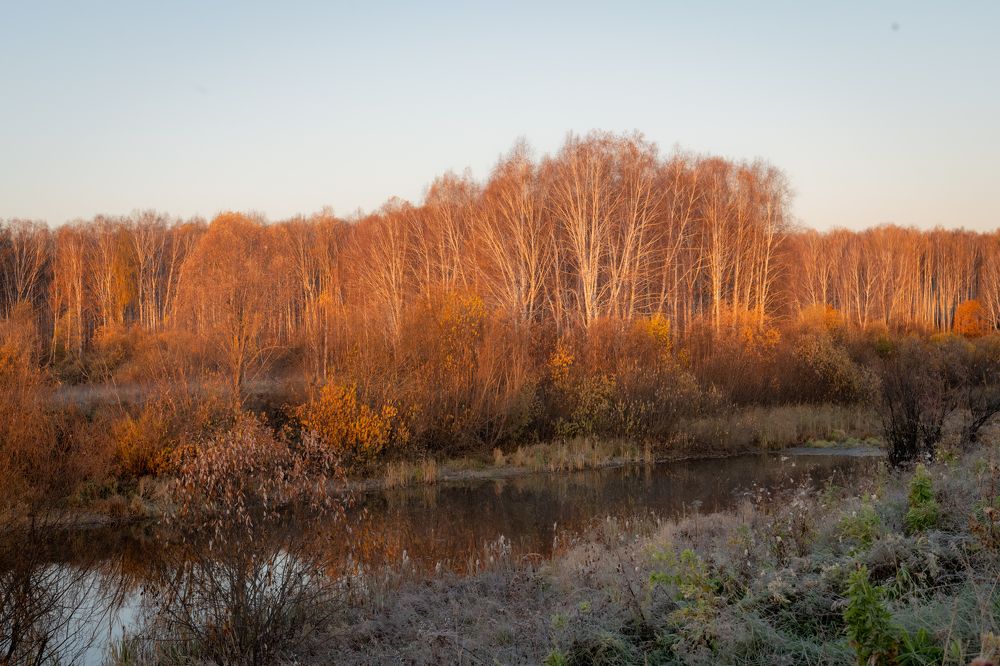 Photograph by Лина Матвеева