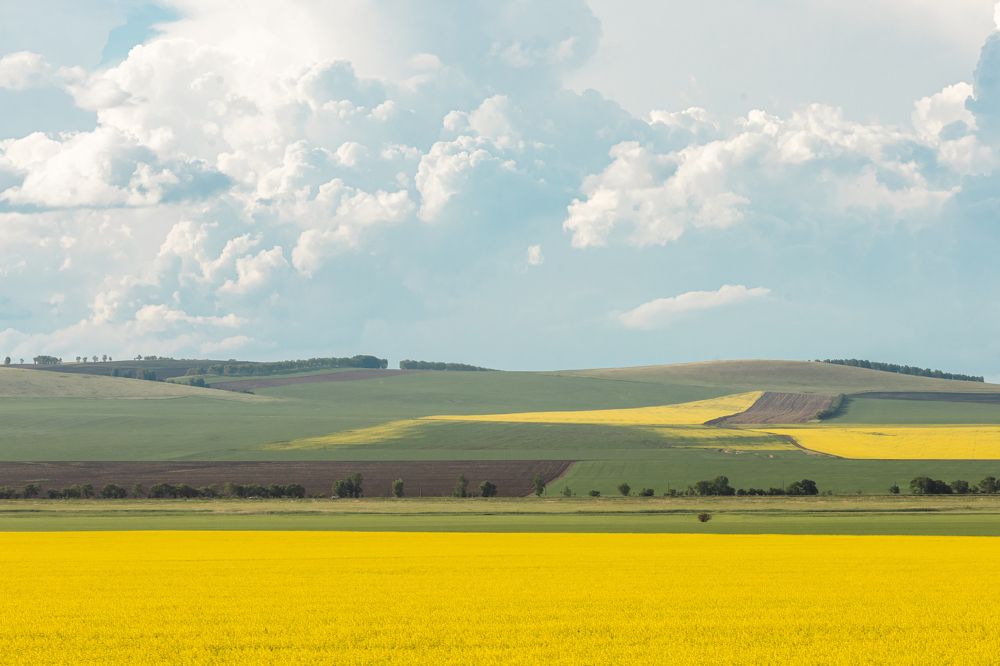 Photograph by Корчагина Оксана