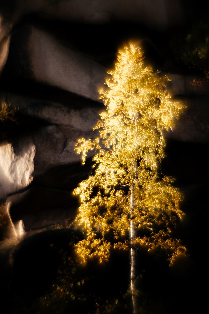 Photograph by Корчагина Оксана