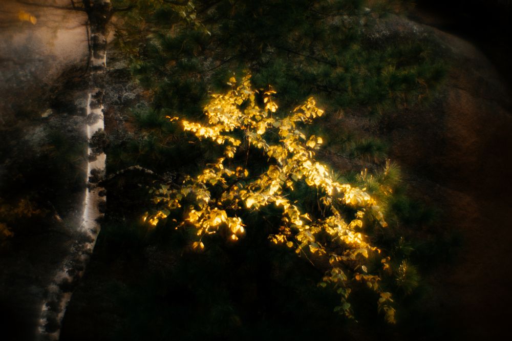 Photograph by Корчагина Оксана