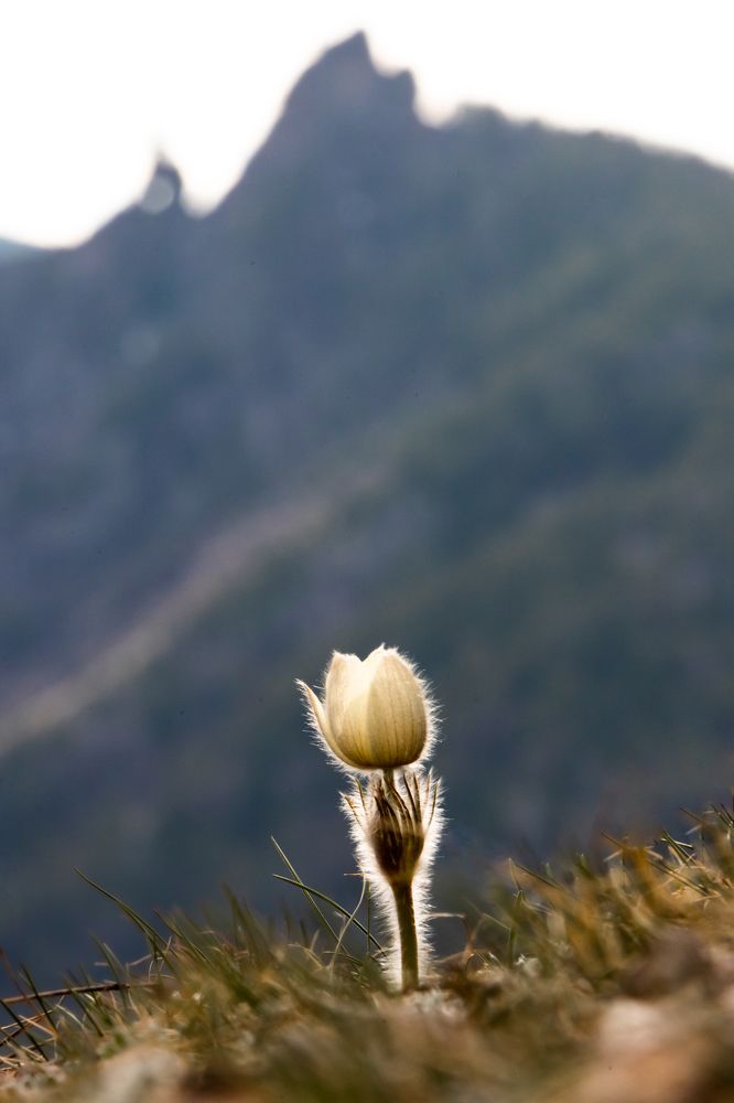 Photograph by Корчагина Оксана