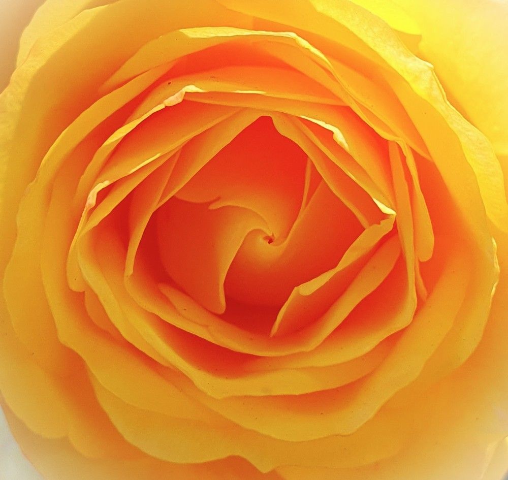 Photograph by Яна Галимуллина