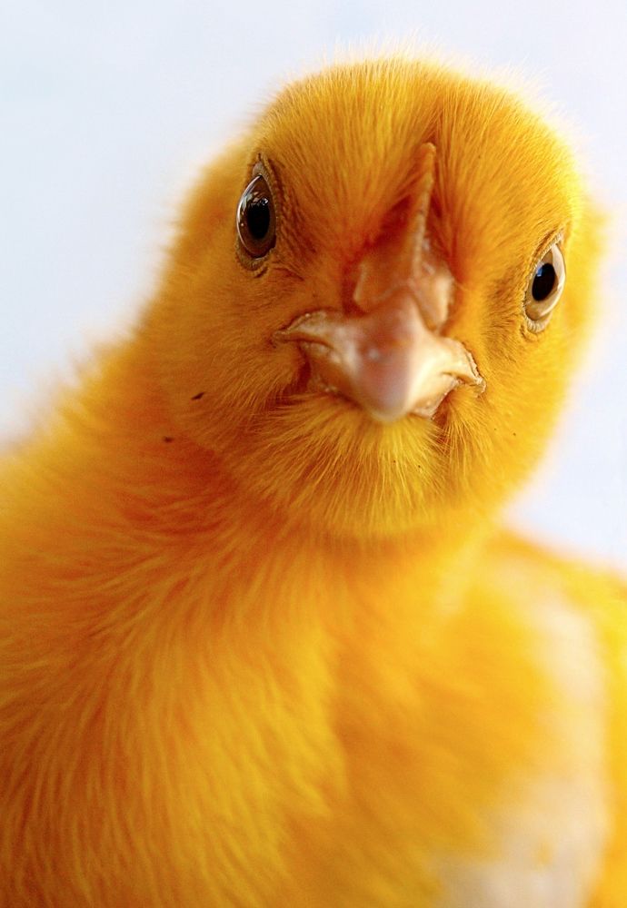 Photograph by Diana Duque