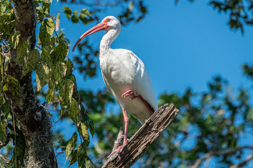 Photograph by Анатолий Костерев
