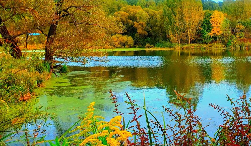 Photograph by Яна Галимуллина