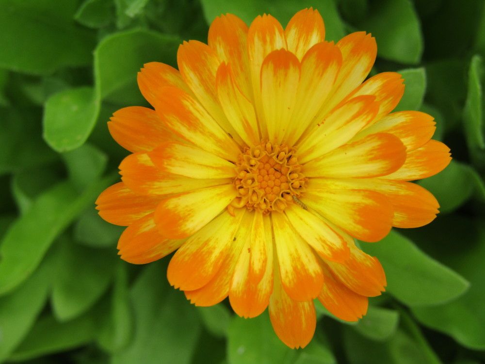 Photograph by Наталия Князева