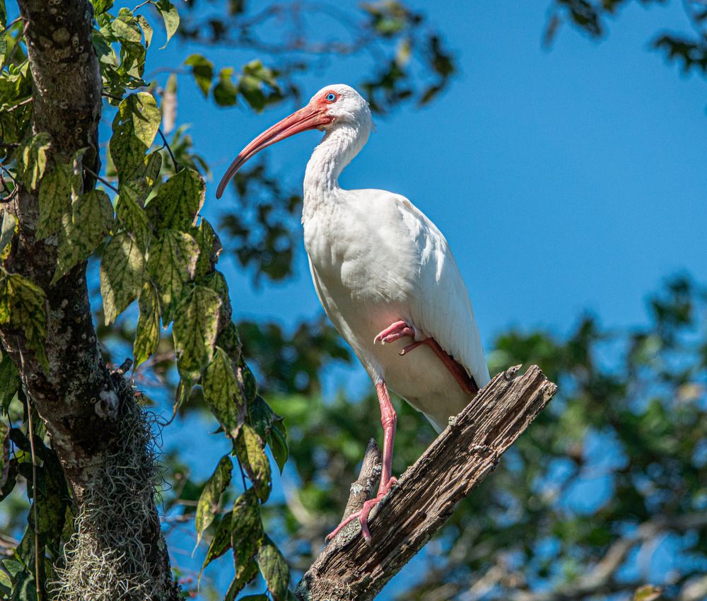 Photograph by Анатолий Костерев