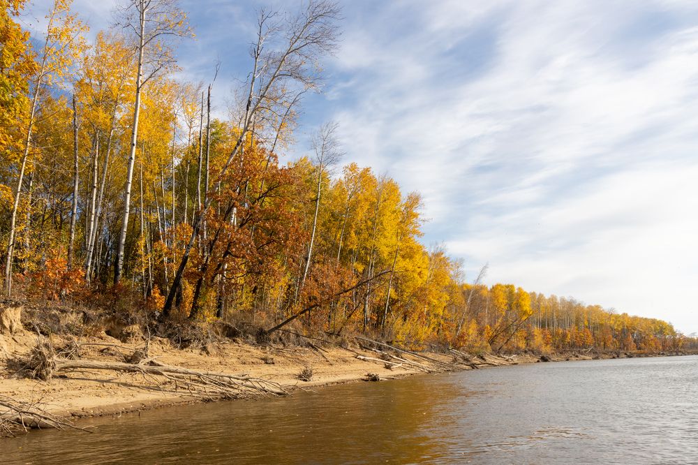 Photograph by Николай Шепелев
