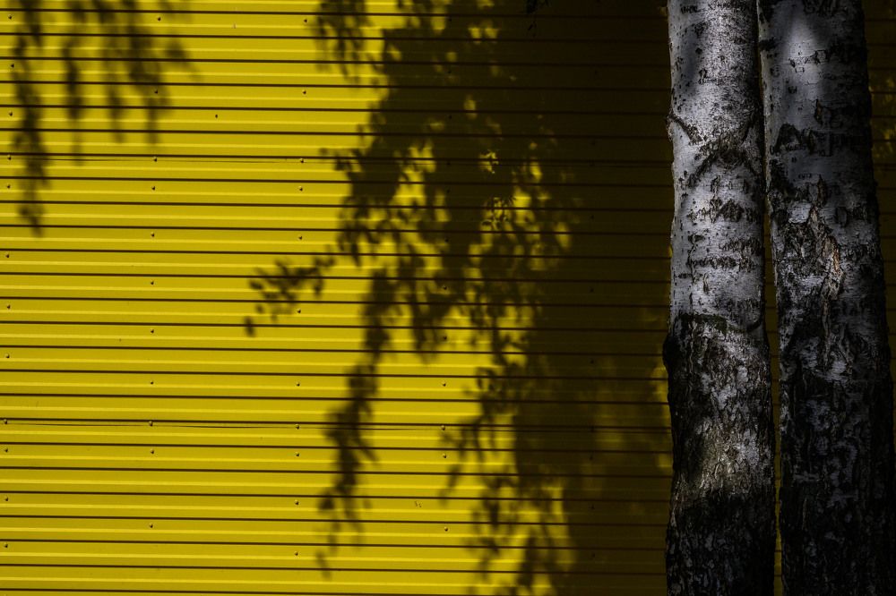 Photograph by Бахтадзе Дмитрий