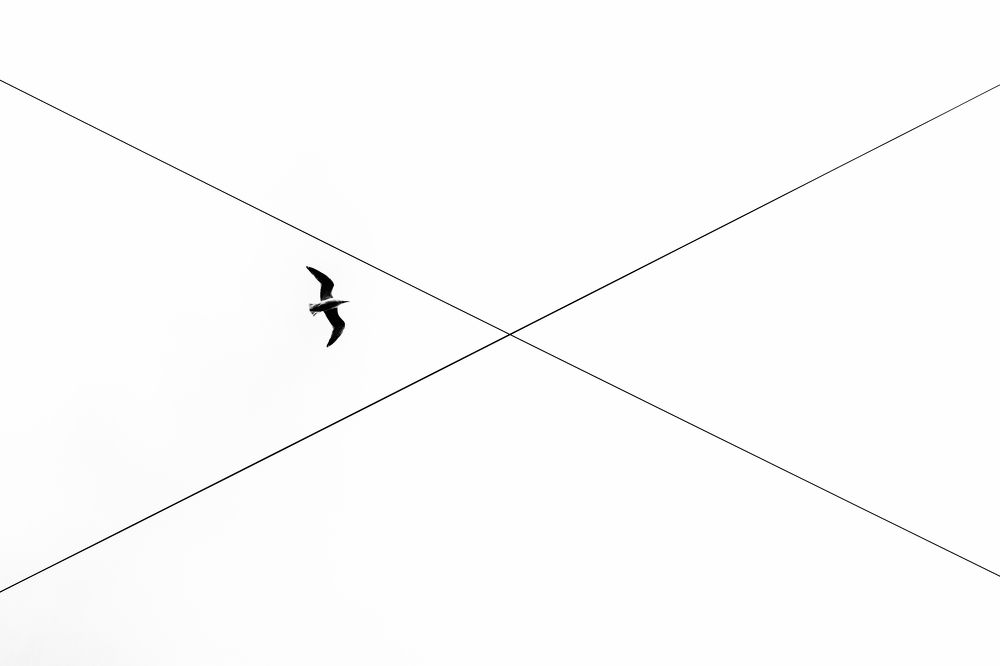 Photograph by Бахтадзе Дмитрий