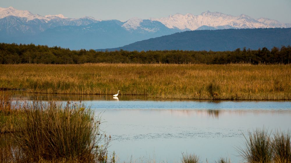 Photograph by Бахтадзе Дмитрий