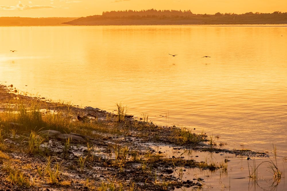 Фотография автора Наталья Липовская