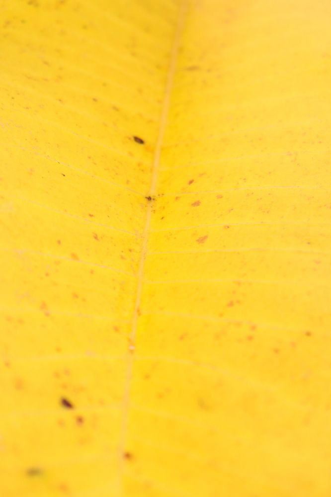 Photograph by Komang Mariono